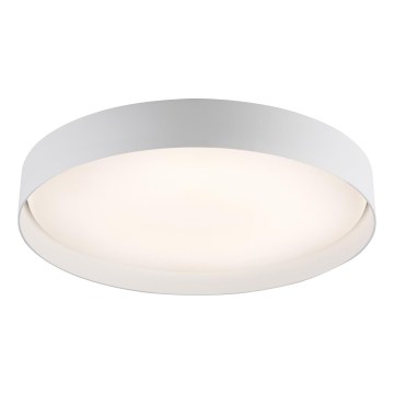 Schöner Wohnen 14595-16 - LED hämardatav laelamp TAVOLI LED/34W/230V 2700–6500K Ø 49 cm valge + kaugjuhtimispult