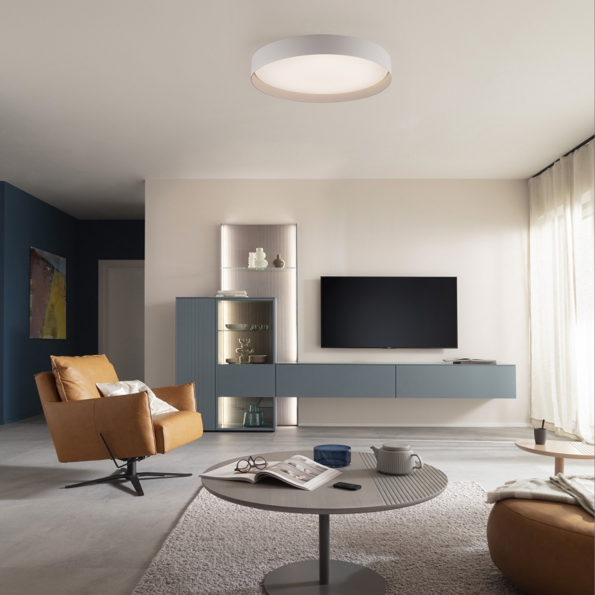 Schöner Wohnen 14595-39 - hämardatav LED-laelamp TAVOLI LED/34W/230V 2700-6500K, läbimõõt 49 cm, hall, kaugjuhtimispult kaasas