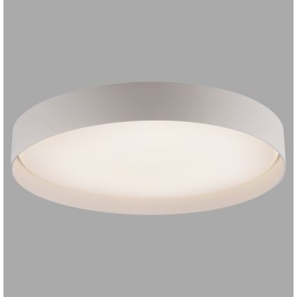 Schöner Wohnen 14595-39 - hämardatav LED-laelamp TAVOLI LED/34W/230V 2700-6500K, läbimõõt 49 cm, hall, kaugjuhtimispult kaasas