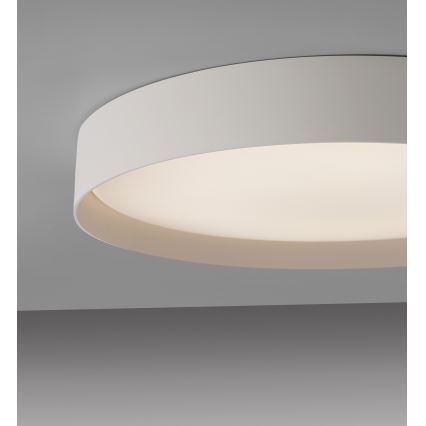 Schöner Wohnen 14595-39 - hämardatav LED-laelamp TAVOLI LED/34W/230V 2700-6500K, läbimõõt 49 cm, hall, kaugjuhtimispult kaasas