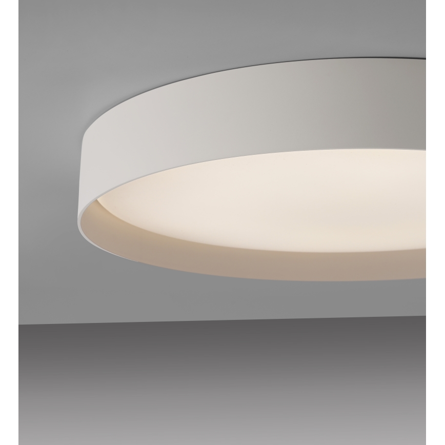 Schöner Wohnen 14595-39 - hämardatav LED-laelamp TAVOLI LED/34W/230V 2700-6500K, läbimõõt 49 cm, hall, kaugjuhtimispult kaasas