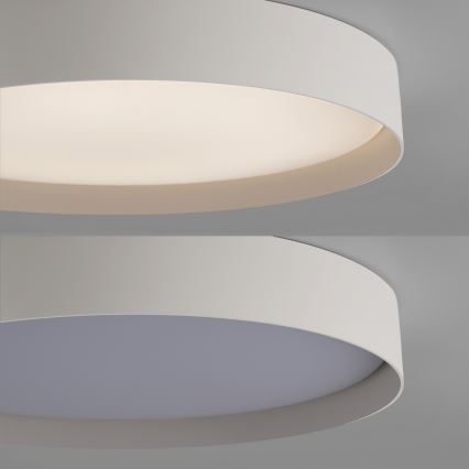 Schöner Wohnen 14595-39 - hämardatav LED-laelamp TAVOLI LED/34W/230V 2700-6500K, läbimõõt 49 cm, hall, kaugjuhtimispult kaasas