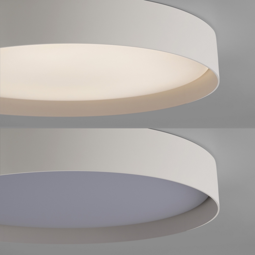 Schöner Wohnen 14595-39 - hämardatav LED-laelamp TAVOLI LED/34W/230V 2700-6500K, läbimõõt 49 cm, hall, kaugjuhtimispult kaasas