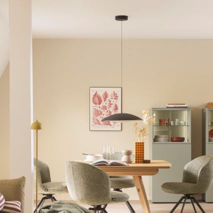 Schöner Wohnen 14606-18 - Hämardatav LED-rippvalgusti kaablil LENTE LED/17W/230V läbimõõt 40 cm must