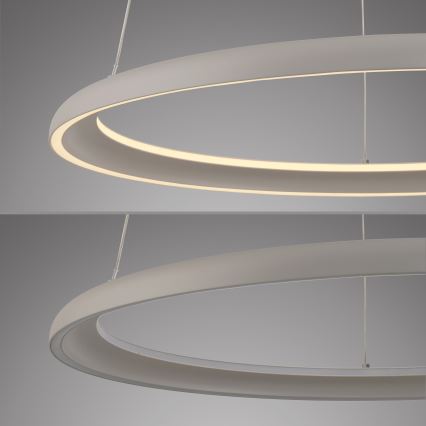 Schöner Wohnen 15570-39 - LED-hämardatav rippvalgusti kaablil QUILLO LED/36W/230V Ø 60 cm hall