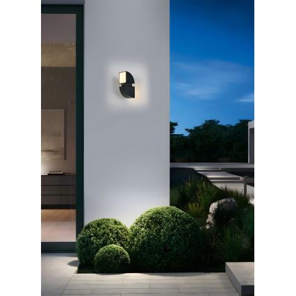 Searchlight - LED-välisseinavalgusti DAKOTA 2xLED/4W/230V IP44
