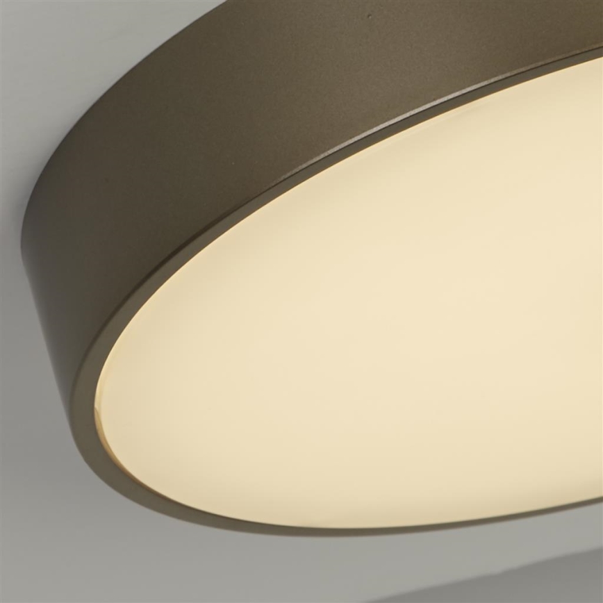 Searchlight - LED laelamp PALMA LED/12W/230V 3000K läbimõõt 25 cm pronksitoonis