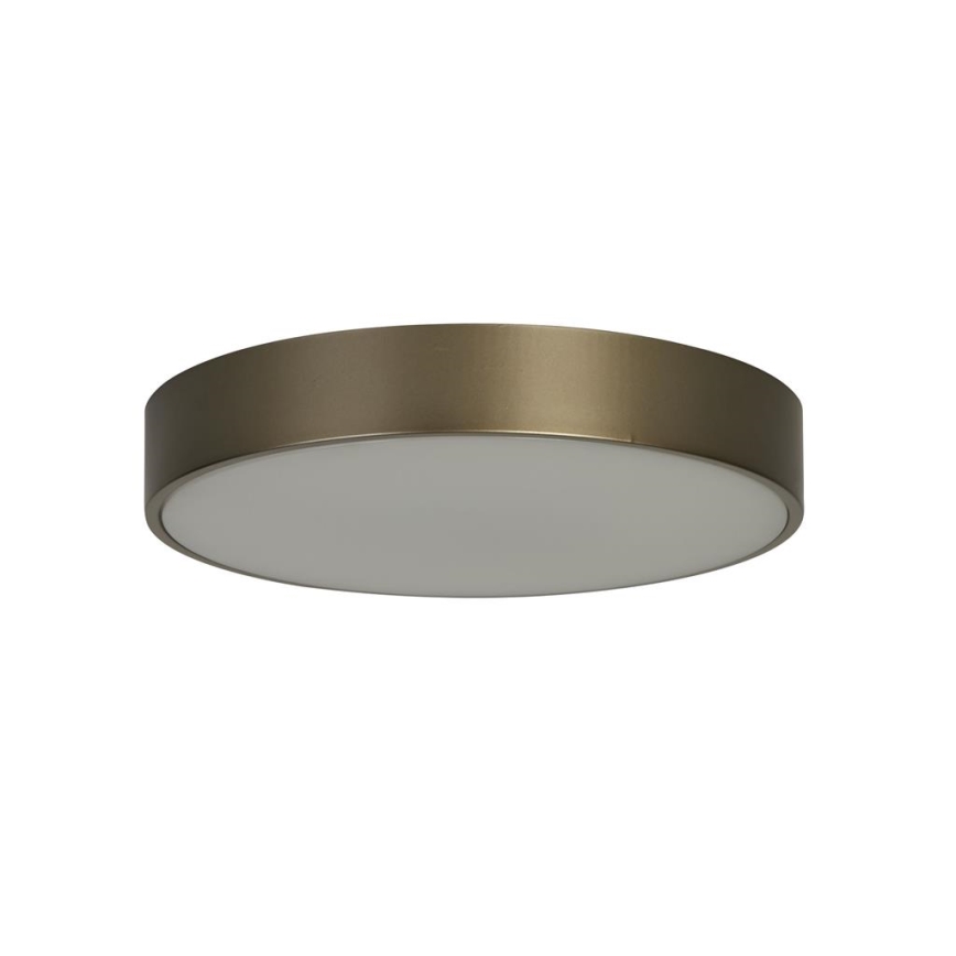 Searchlight - LED laelamp PALMA LED/12W/230V 3000K läbimõõt 25 cm pronksitoonis