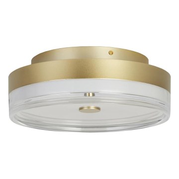 Searchlight - LED laelamp CYPRUS LED/21W/230V, läbimõõt 30 cm, kuldne
