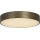 Searchlight - LED laelamp PALMA LED/12W/230V 3000K läbimõõt 25 cm pronksitoonis