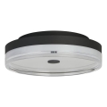 Searchlight - LED laevalgusti CYPRUS LED/21W/230V, läbimõõt 30 cm, must