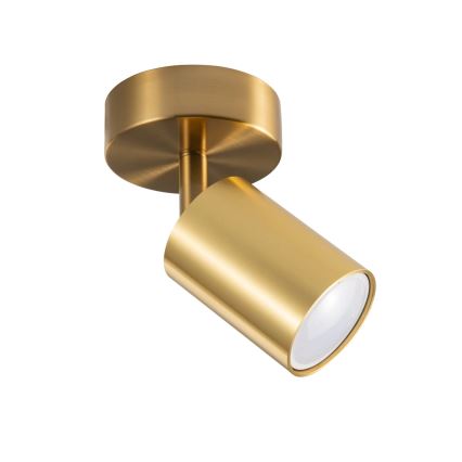 Seinale paigaldatav suunavalgusti GOLDIE 1xGU10/10W/230V, kuldne