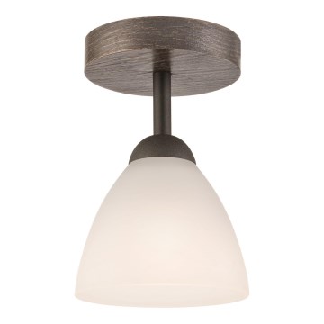 Seinapealne lühter ADRIANO 1xE27/60W/230V pöök