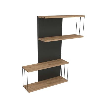 Seinariiul DESTAN 65x96x19 cm antratsiit/pruun