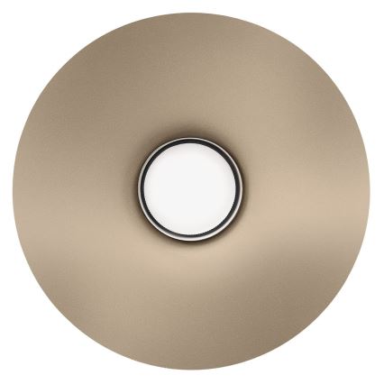 Seinavalgusti CAPITAL 1xGX53/15W/230V pruunikashall