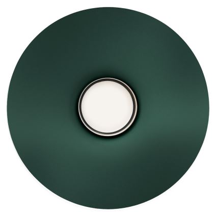 Seinavalgusti CAPITAL 1xGX53/15W/230V roheline