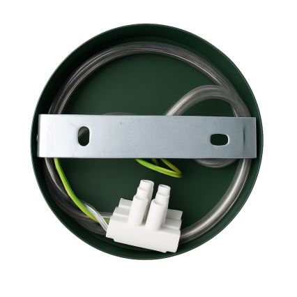 Seinavalgusti CAPITAL 1xGX53/15W/230V roheline