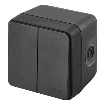 Seinlüliti, 2-nupuline, vahelduv, nr. 6+6, IP55, antratsiit