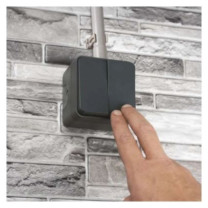 Seinlüliti, 2-nupuline, vahelduv, nr. 6+6, IP55, antratsiit