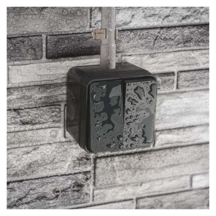 Seinlüliti, 2-nupuline, vahelduv, nr. 6+6, IP55, antratsiit