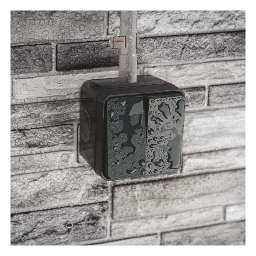 Seinlüliti, 2-nupuline, vahelduv, nr. 6+6, IP55, antratsiit