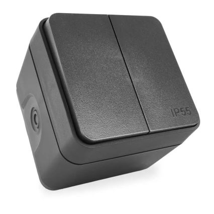 Seinlüliti, 2-nupuline, vahelduv, nr. 6+6, IP55, antratsiit
