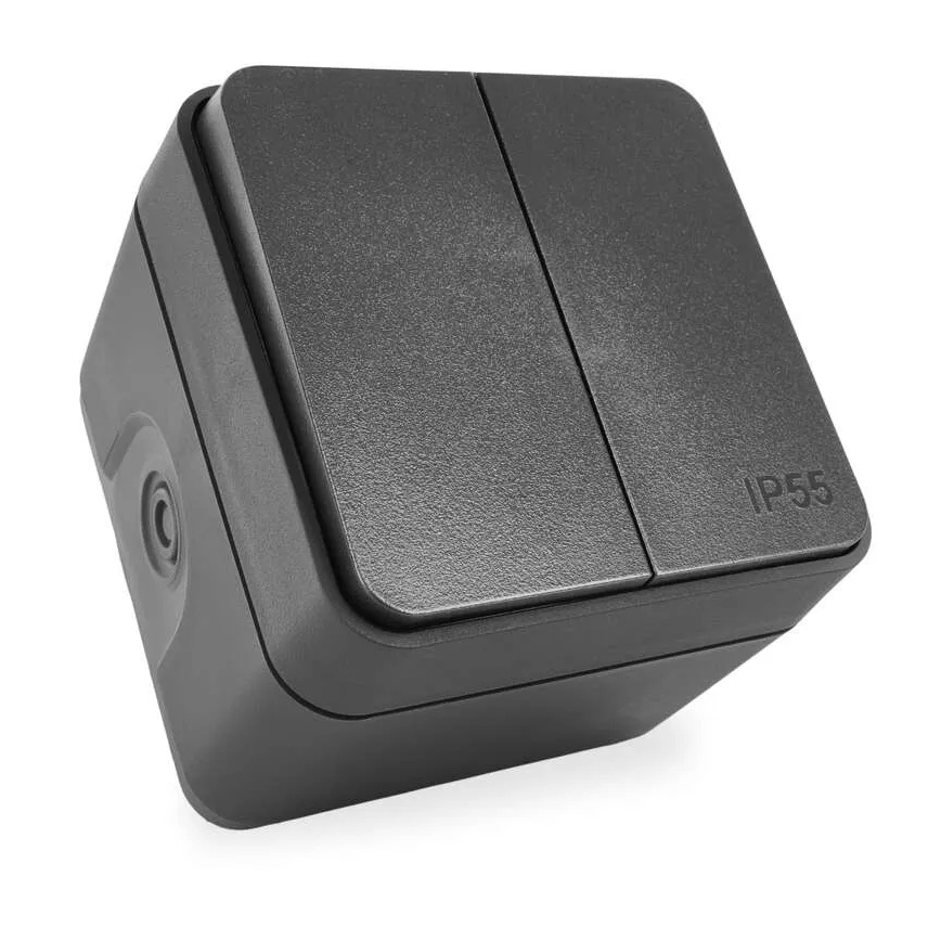 Seinlüliti, 2-nupuline, vahelduv, nr. 6+6, IP55, antratsiit