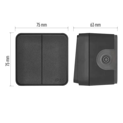 Seinlüliti, 2-nupuline, vahelduv, nr. 6+6, IP55, antratsiit