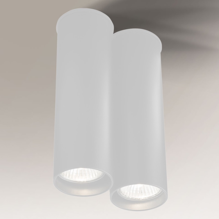 Shilo - Kohtvalgusti 2xGU10/15W/230V valge