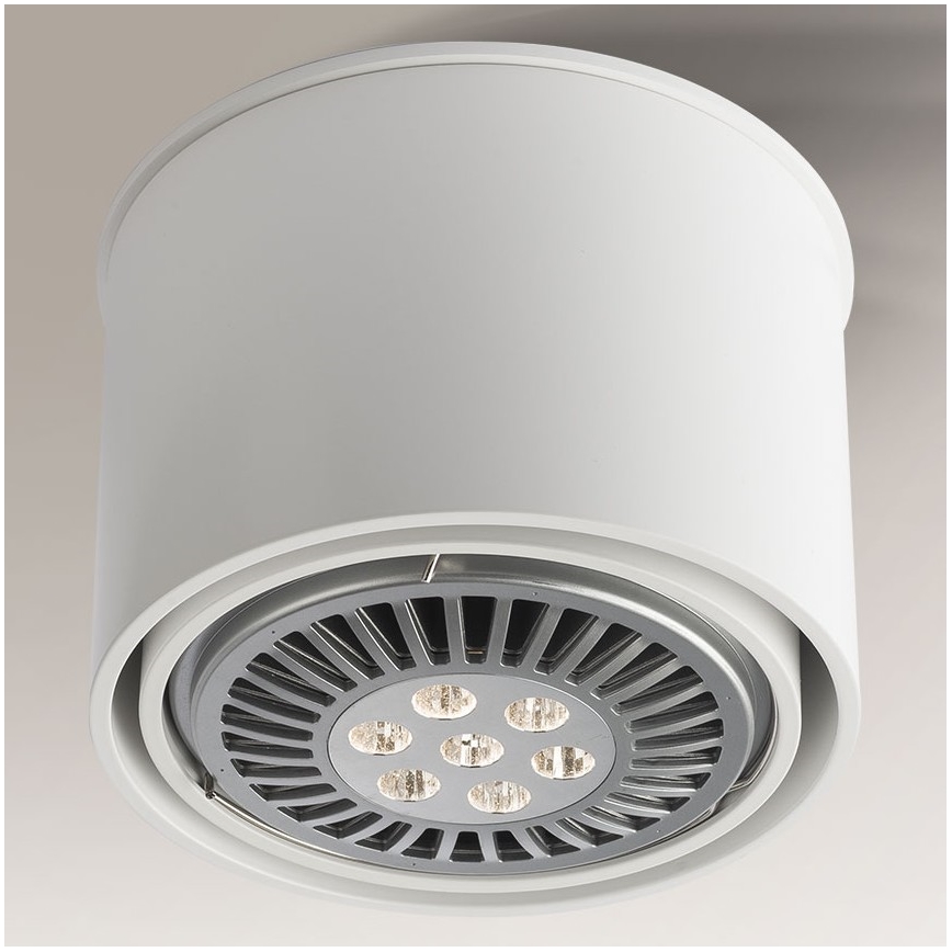 Shilo - Kohtvalgusti 1xGU10/15W/230V valge