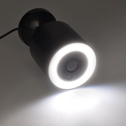 LED väliskaamera valgustusega 12V 1536p Wi-Fi Tuya IP65