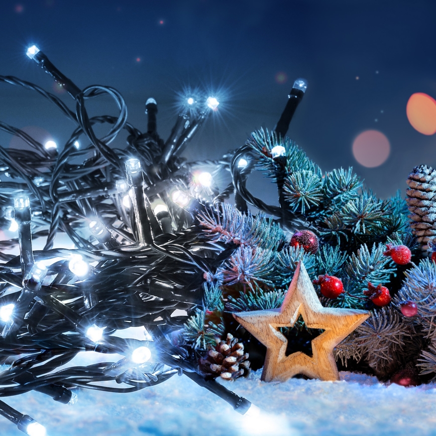 LED välistingimuste valguskett 50 LED, 8 funktsiooniga, 8 m, IP44, külmvalge