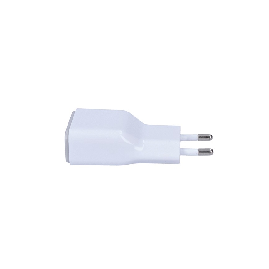 USB Laadija 1xUSB/230V