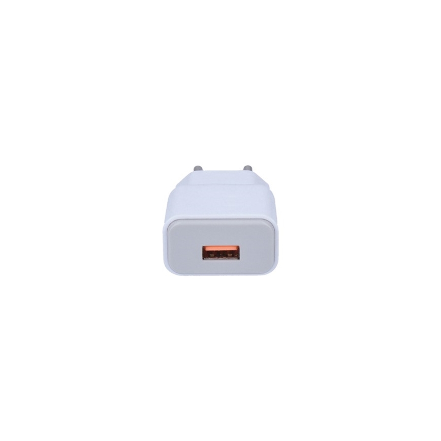 USB Laadija 1xUSB/230V