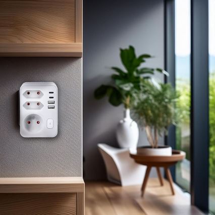 Pistikupesa jagaja 1x16A+2x 2,5A koos 2xUSB A+C laadijaga valge