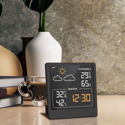 Digitaalne termomeeter 5V/2xAAA + 2xAAA must