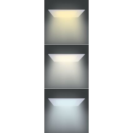 LED-paneel LED/12W/230V 3000/4000/6000K 17x17 cm valge