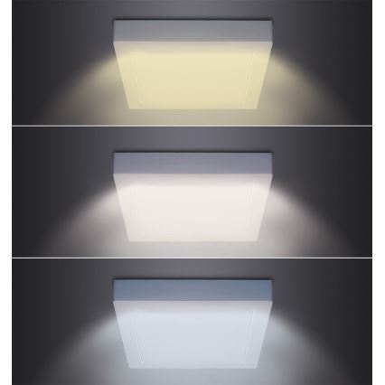 LED laelamp LED/24W/230V 3000/4000/6000K 30x30 cm valge