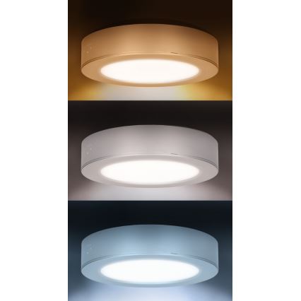 LED pinnapealne/süvistatav paneel 2-ühes LED/12W/230V 3000/4000/6000K Ø 17 cm IP54 hõbedane
