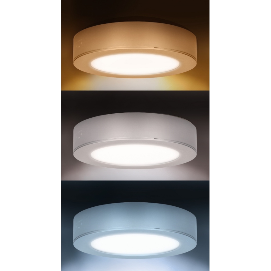 LED pinnapealne/süvistatav paneel 2-ühes LED/12W/230V 3000/4000/6000K Ø 17 cm IP54 hõbedane