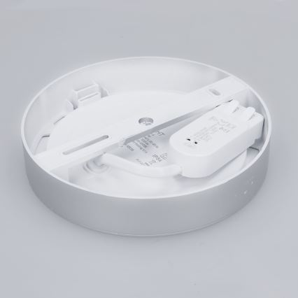 LED pinnapealne/süvistatav paneel 2-ühes LED/12W/230V 3000/4000/6000K Ø 17 cm IP54 hõbedane