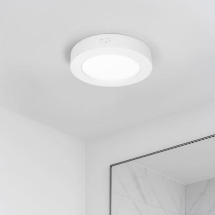 LED pinnapealne/lagi sisse paigaldatav 2‑ühes paneel, 12 W, 230 V, 3000/4000/6000 K, Ø17 cm, IP54, valge