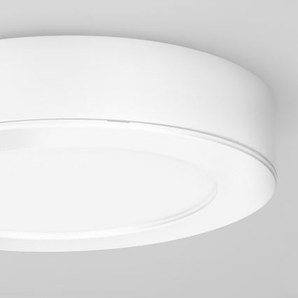 LED pinnapealne/lagi sisse paigaldatav 2‑ühes paneel, 12 W, 230 V, 3000/4000/6000 K, Ø17 cm, IP54, valge