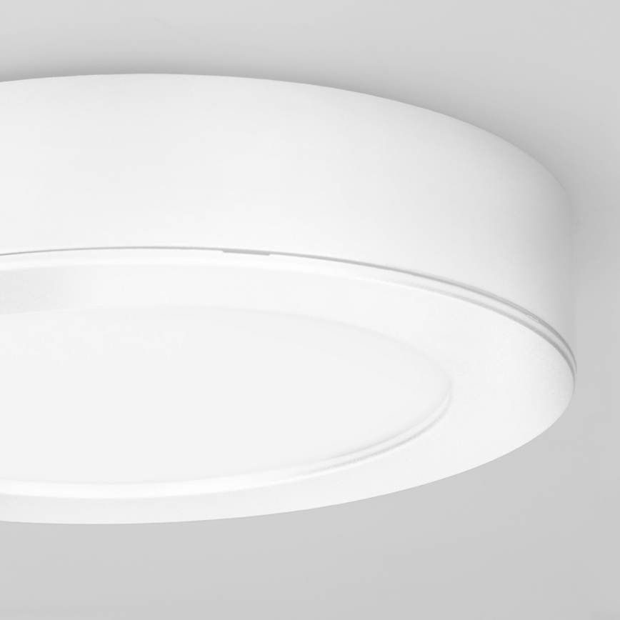 LED pinnapealne/lagi sisse paigaldatav 2‑ühes paneel, 12 W, 230 V, 3000/4000/6000 K, Ø17 cm, IP54, valge