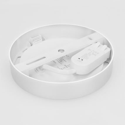 LED pinnapealne/lagi sisse paigaldatav 2‑ühes paneel, 12 W, 230 V, 3000/4000/6000 K, Ø17 cm, IP54, valge