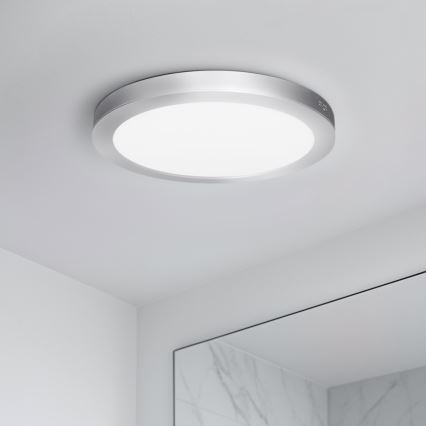 LED pinnapealne/sisseehitatav paneel 2-ühes 18W/230V 3000/4000/6000K Ø 22,5 cm IP54 hõbedane
