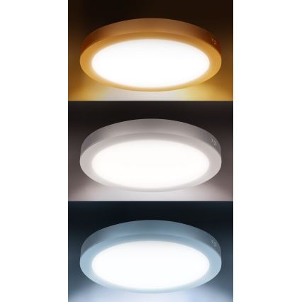 LED pinnapealne/sisseehitatav paneel 2-ühes 18W/230V 3000/4000/6000K Ø 22,5 cm IP54 hõbedane