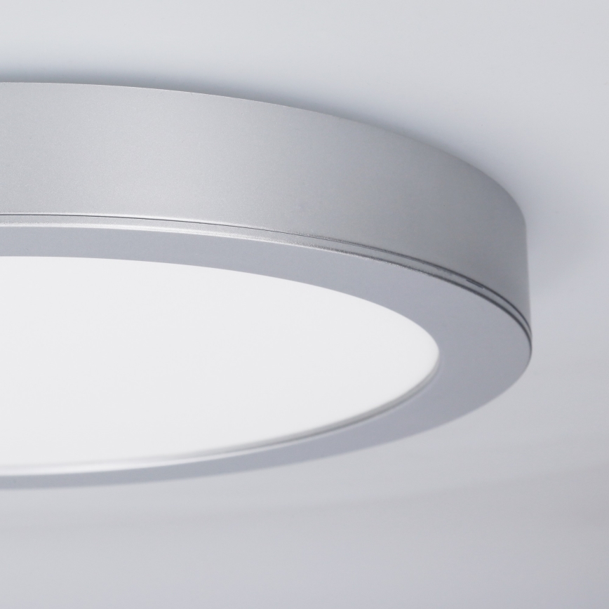 LED pind- ja süvistatav 2-ühes paneel 24W/230V 3000/4000/6000K Ø 30 cm IP54 hõbedane