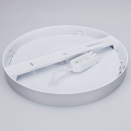LED pind- ja süvistatav 2-ühes paneel 24W/230V 3000/4000/6000K Ø 30 cm IP54 hõbedane