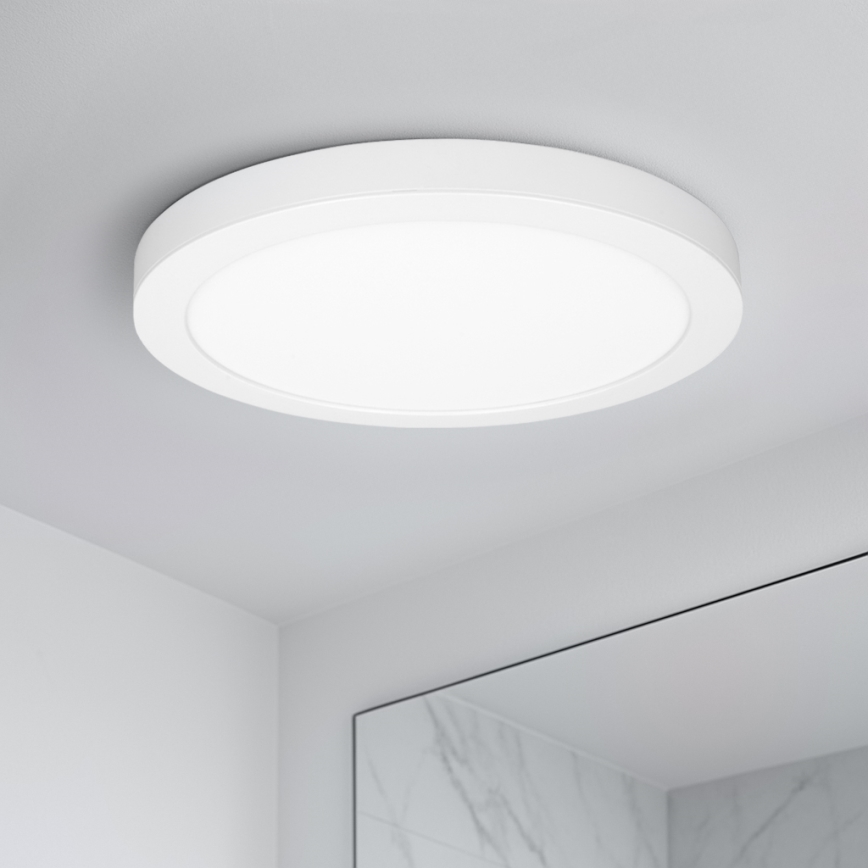 LED pinnapealne/lae sisse paigaldatav paneel 2-ühes 24W/230V 3000/4000/6000K läbimõõt 30 cm IP54 valge